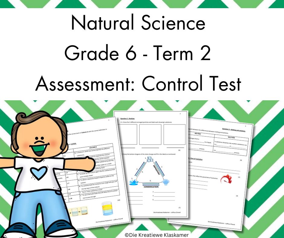 (2025) Natural Science Grade 6 Term 2 - Control Test