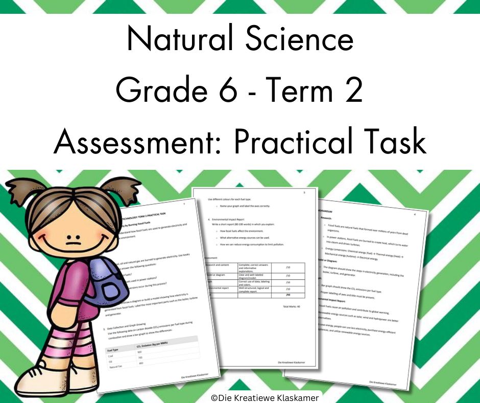 (2025) Natural Science Grade 6 Term 2 - Practical Task