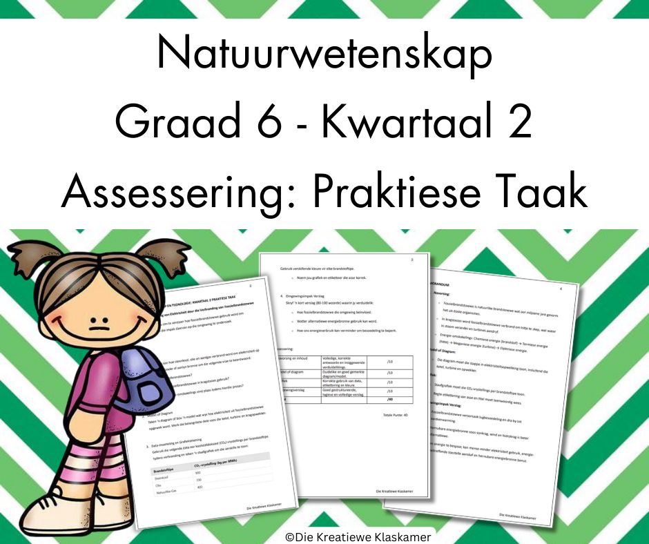 (2025) Natuurwetenskap Graad 6 Kwartaal 2 - Praktiese Taak