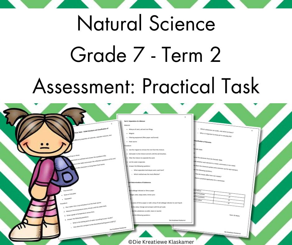 (2025) Natural Science Grade 7 Term 2 - Practical Task