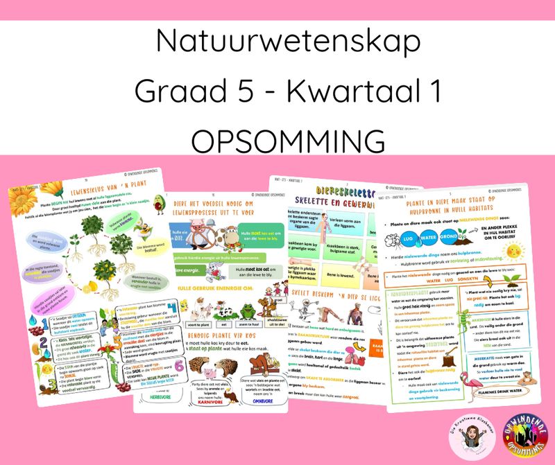 Natuurwetenskap Graad 5 Kwartaal 1 - Opsomming