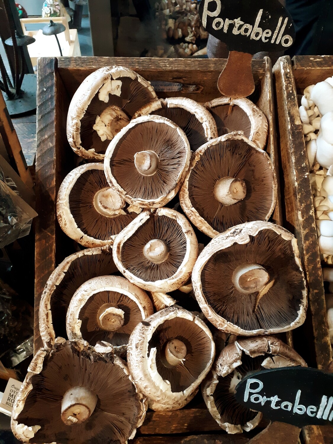 Portobello - per kg