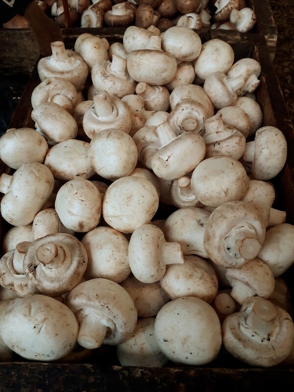 White Button Mushrooms - per kg