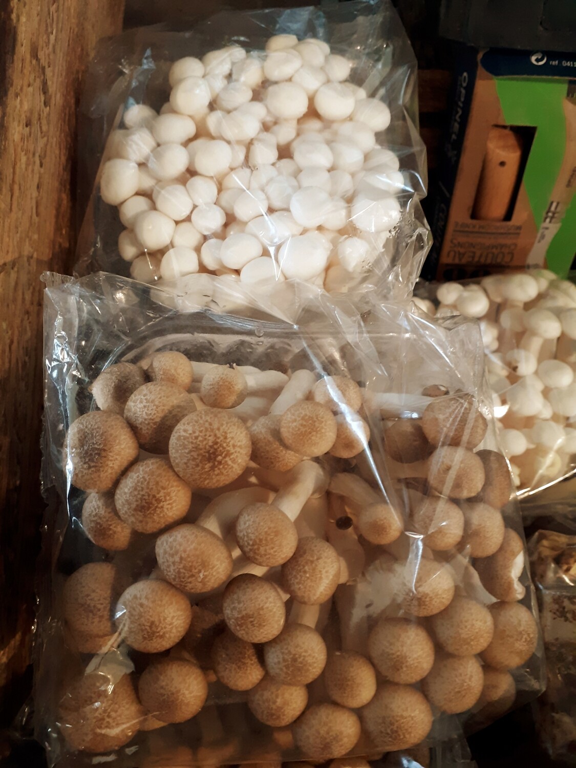 Shimeji - 150g