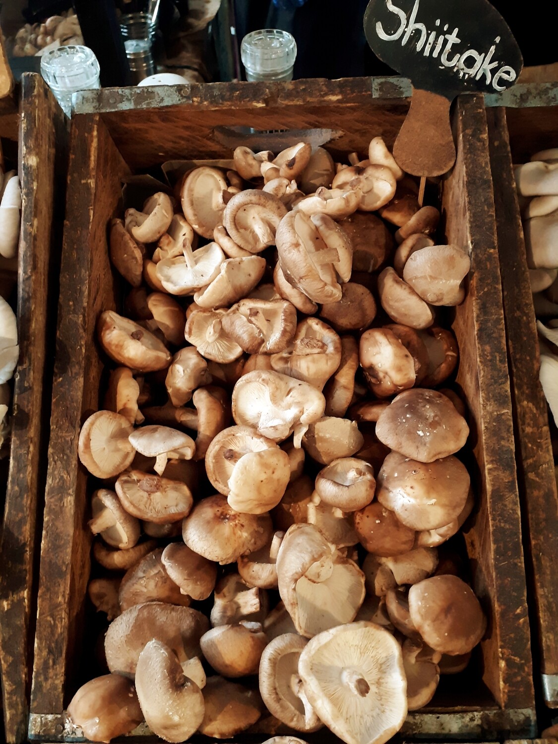 Shiitake - fresh - per kg