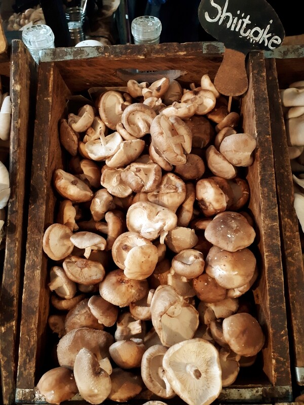 Shiitake - fresh - per kg