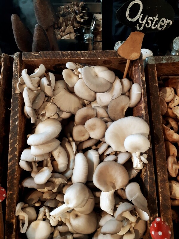 Oyster Mushrooms - per kg