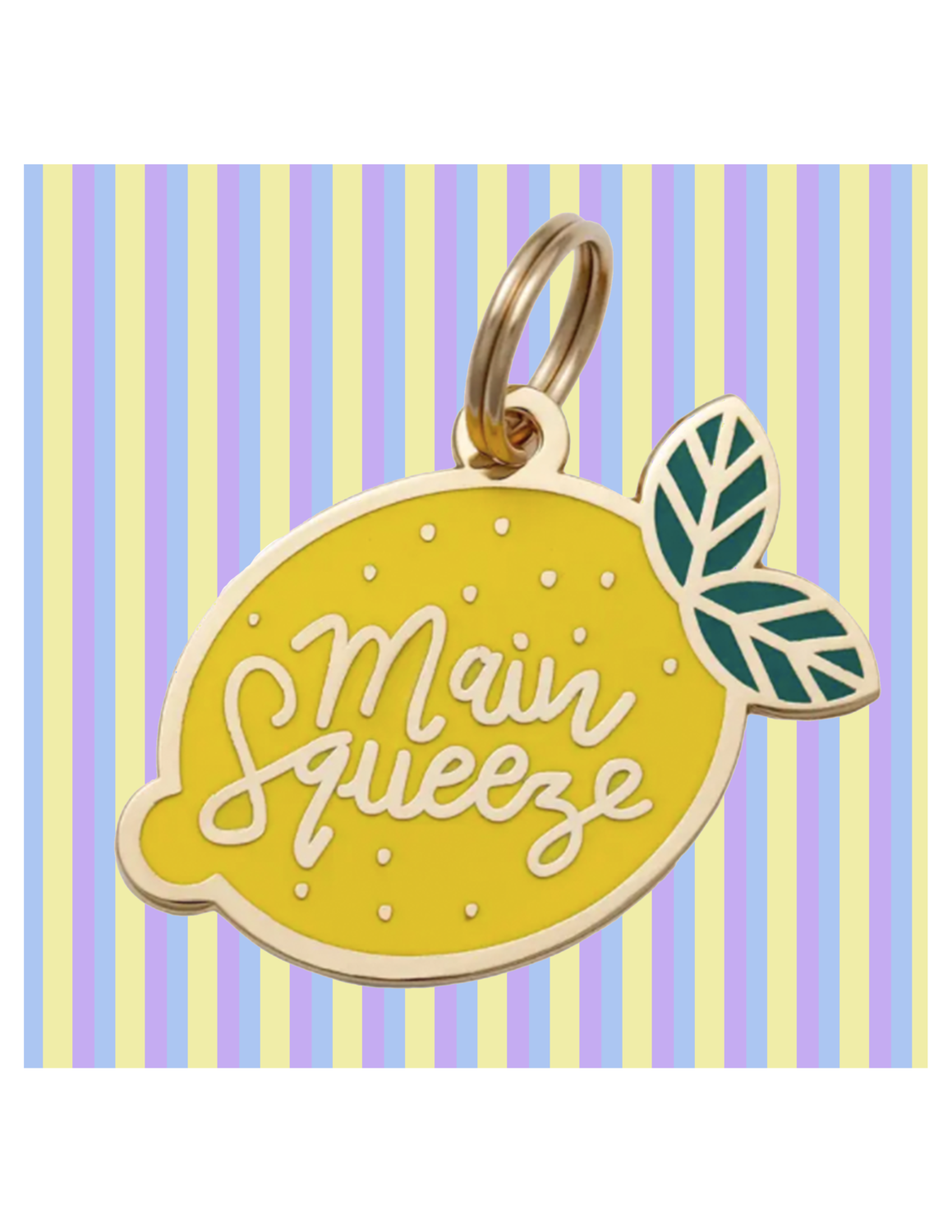 Main Squeeze Pet ID Tag