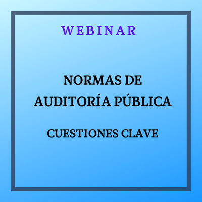 Normas de Auditoría Pública. Cuestiones clave. 24 junio 2025