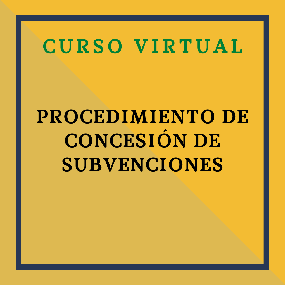 PROCEDIMIENTO DE CONCESIÓN DE SUBVENCIONES. 3 Octubre 2024