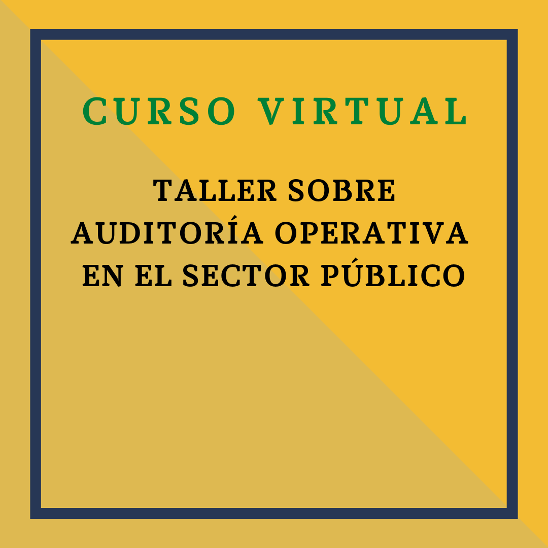 TALLER SOBRE AUDITORÍA OPERATIVA EN EL SECTOR PÚBLICO. 27 octubre de 2025
