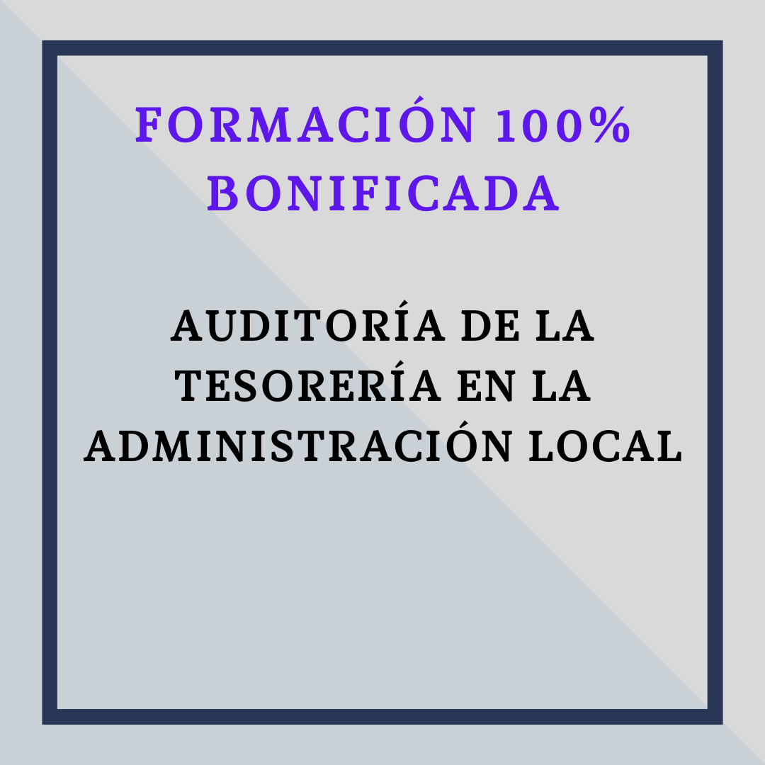 Auditoría de la Tesorería en la Administración Local
