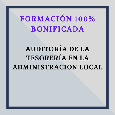 Auditoría de la Tesorería en la Administración Local