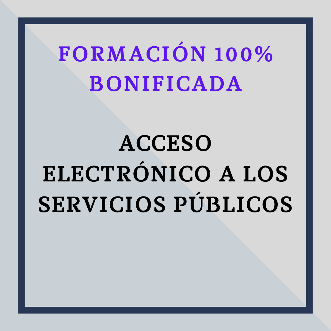 ACCESO ELECTRÓNICO DE LOS CIUDADANOS A LOS SERVICIOS PÚBLICOS.