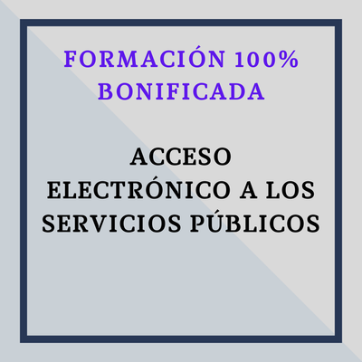 ACCESO ELECTRÓNICO DE LOS CIUDADANOS A LOS SERVICIOS PÚBLICOS.
