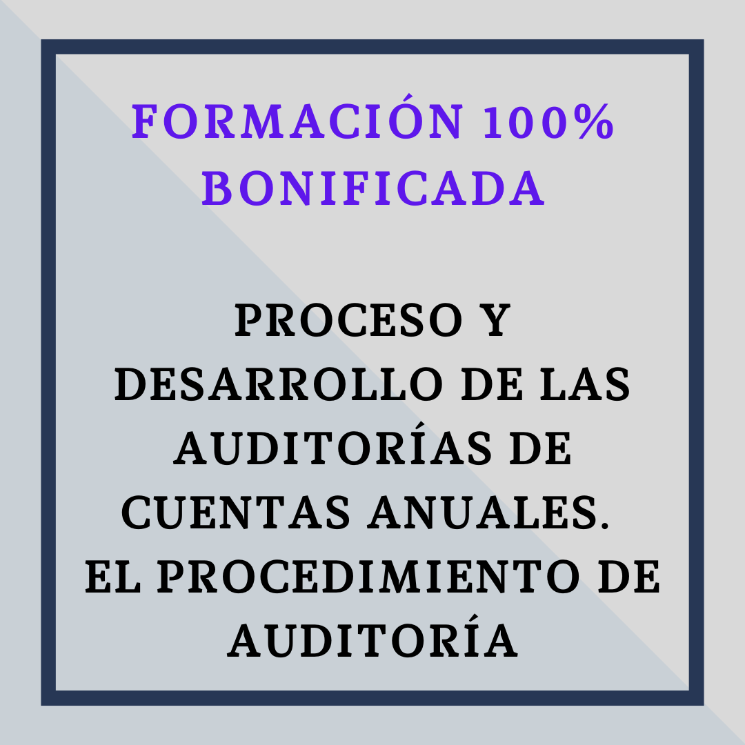 Proceso y Desarrollo de las Auditorías de Cuentas Anuales. El procedimiento de auditoría.