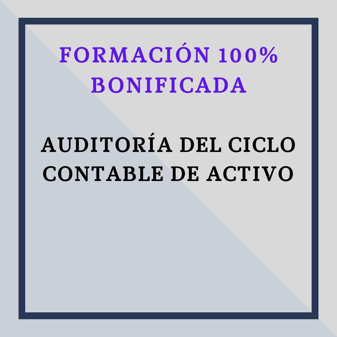Auditoría del Ciclo Contable de Activo.