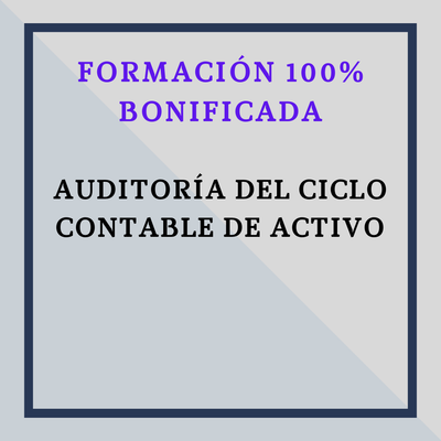 Auditoría del Ciclo Contable de Activo.