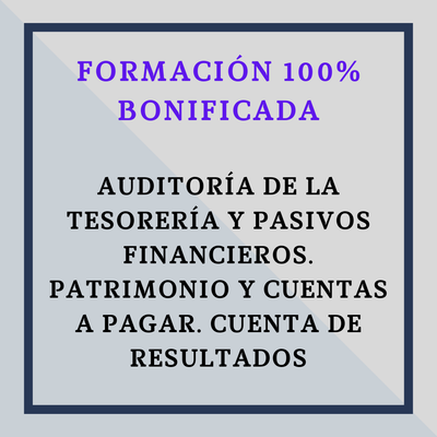 Auditoría de la Tesorería y los Pasivos Financieros. Patrimonio y cuentas a pagar. Cuenta de resultados.