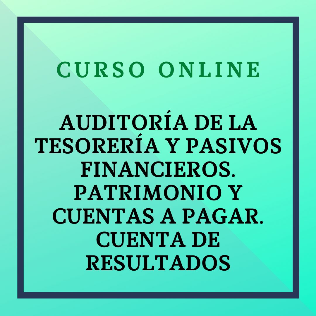 Auditoría de la Tesorería y los pasivos financieros. Patrimonio y cuentas a pagar. Cuenta de resultados. 6 octubre - 21 diciembre 2025