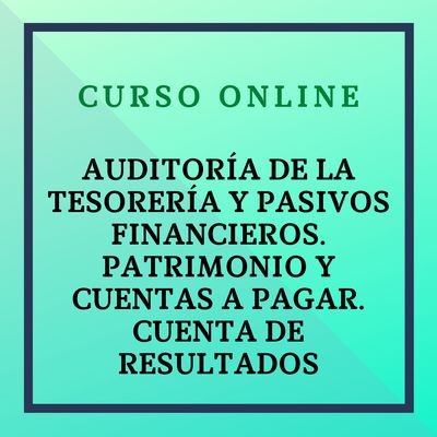 Auditoría de la Tesorería y los pasivos financieros. Patrimonio y cuentas a pagar. Cuenta de resultados. 6 octubre - 21 diciembre 2025