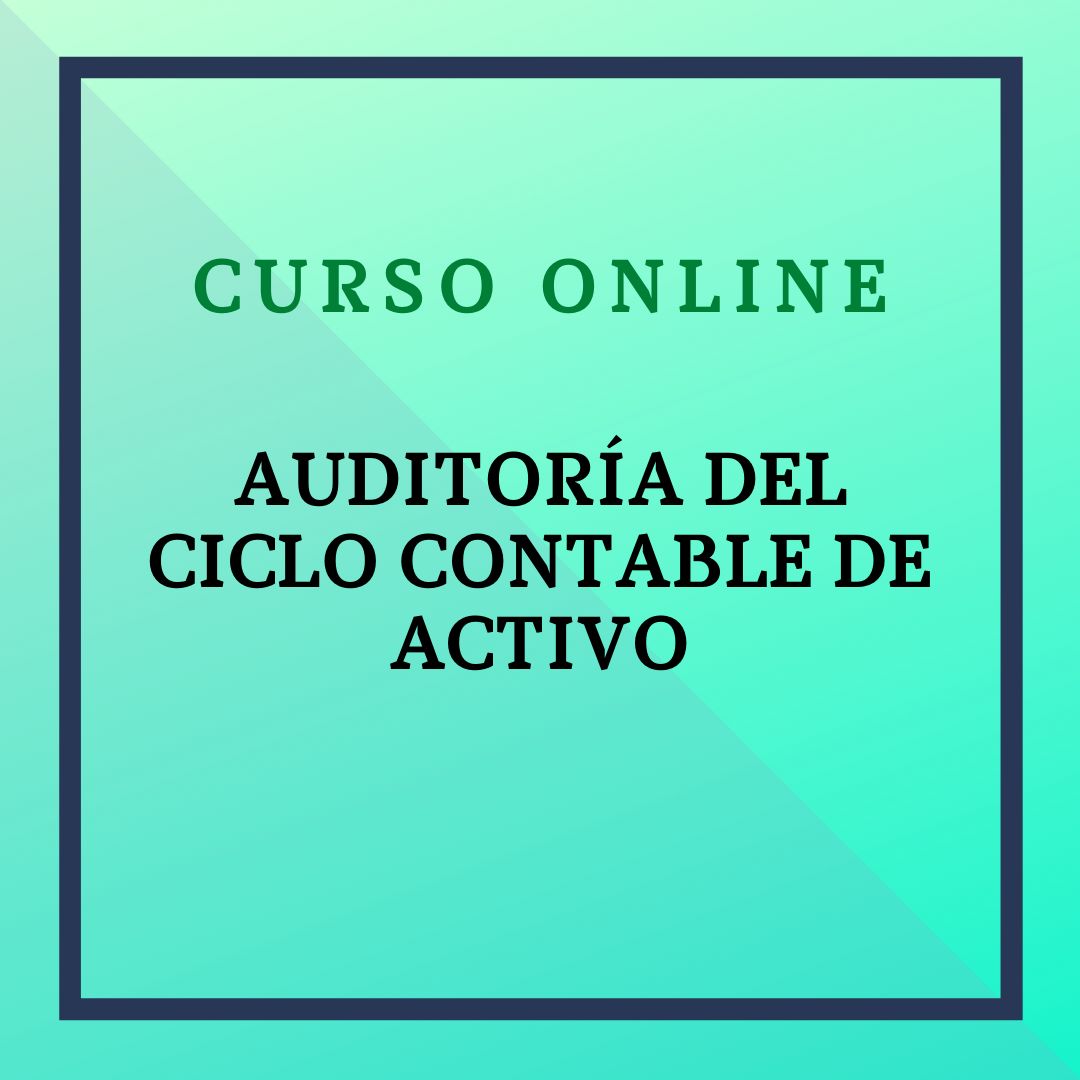 Auditoría del ciclo contable de activo. Del 17 de noviembre al 14 de diciembre de 2025