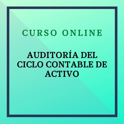 Auditoría del ciclo contable de activo. Del 17 de noviembre al 14 de diciembre de 2025