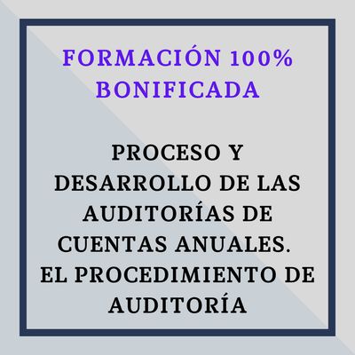 Proceso y Desarrollo de las Auditorías de Cuentas Anuales. El procedimiento de auditoría