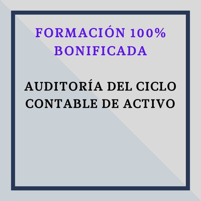 Auditoría del Ciclo Contable de Activo.