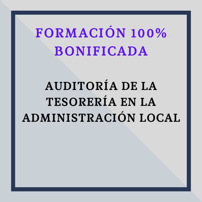 Auditoría de la Tesorería en la Administración Local