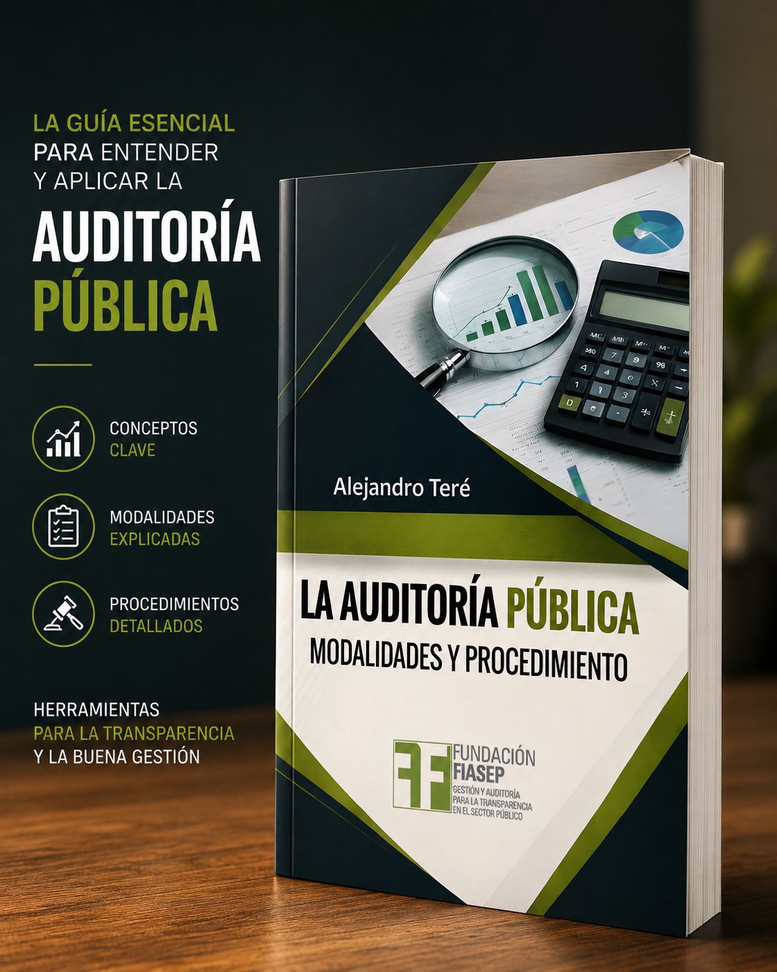 Libro: La auditoría Pública: modalidades y Procedimientos