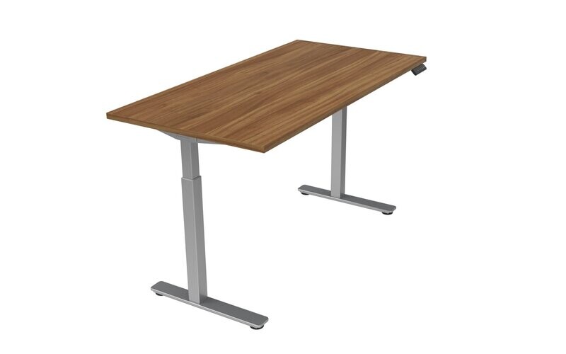 Sit to Stand Table