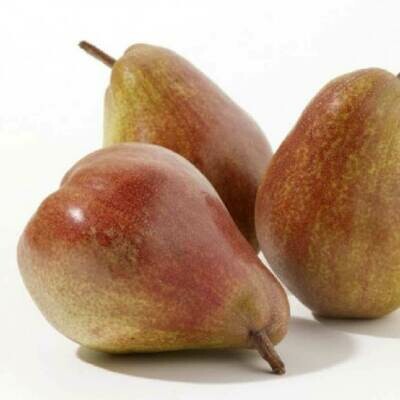 Pear Sensation