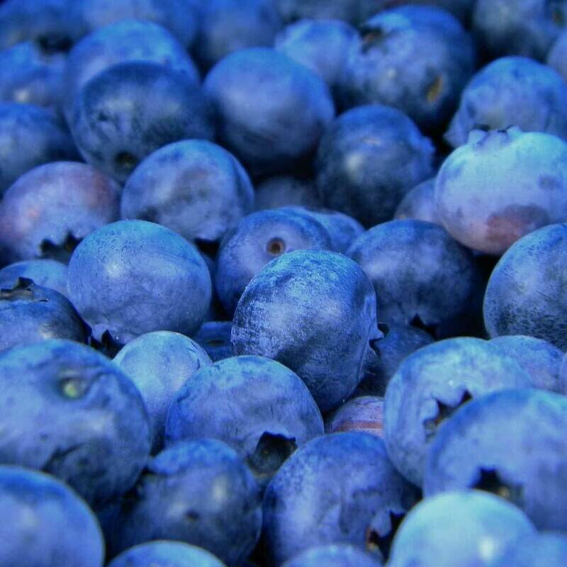 Blueberries