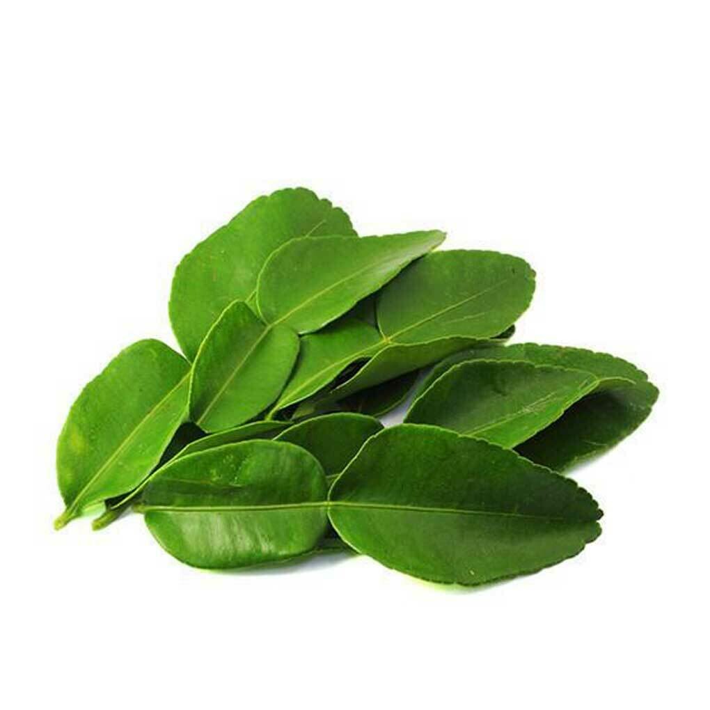 Lime Leaf