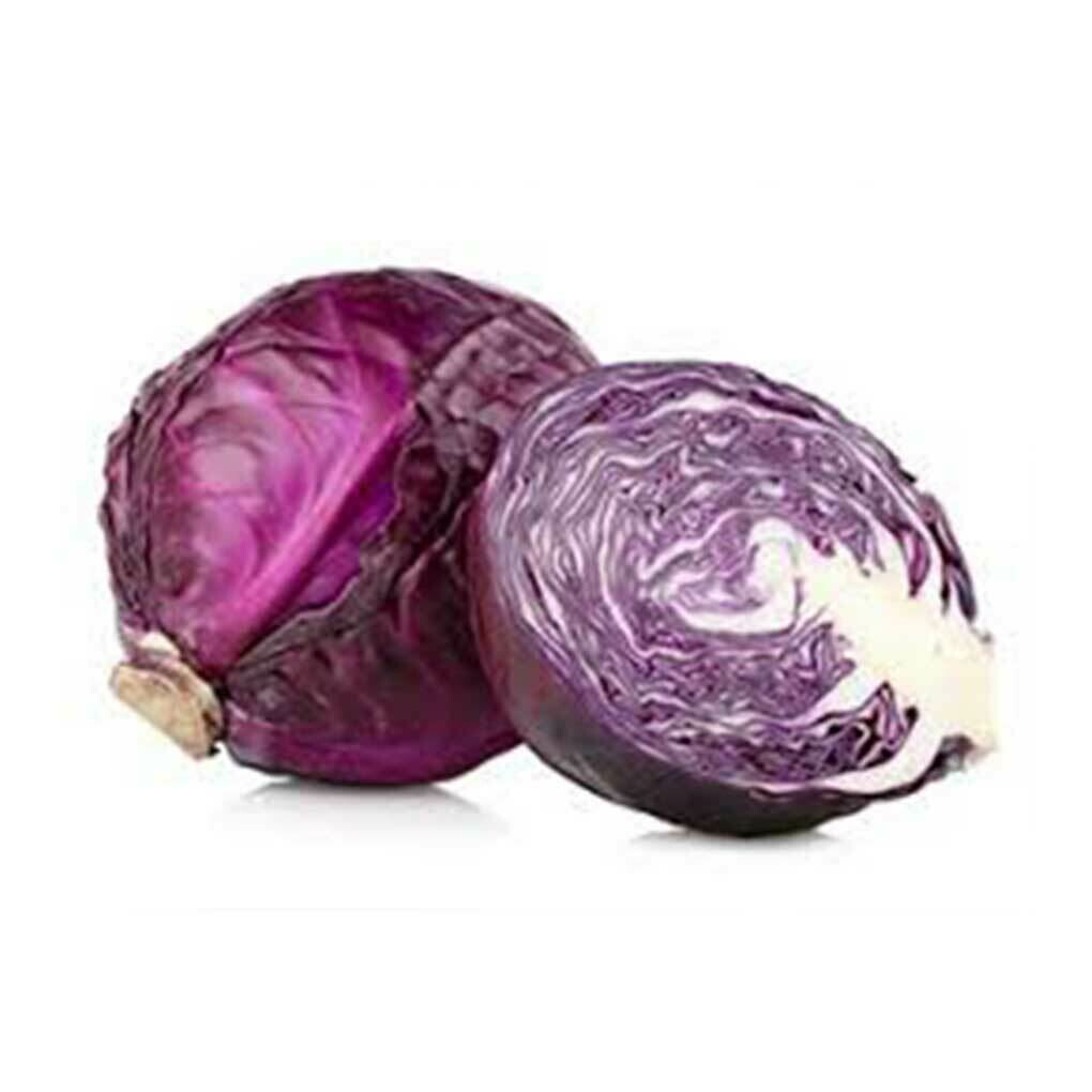 Cabbage Red