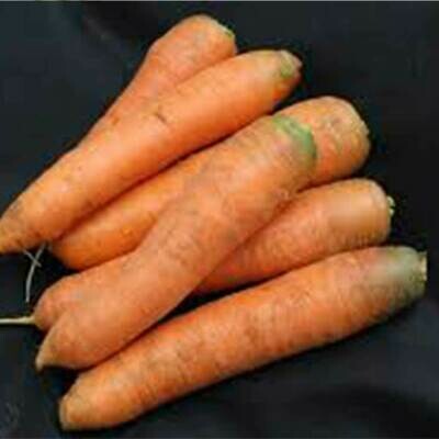 Carrots Large