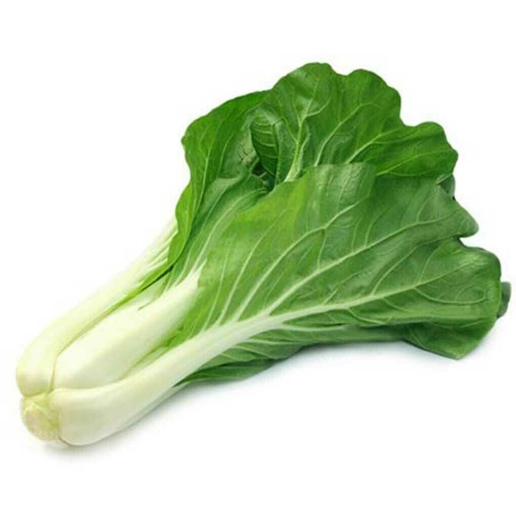 Shang Hai Bok Choy