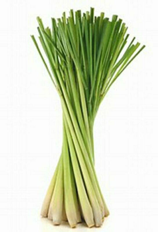 Lemongrass