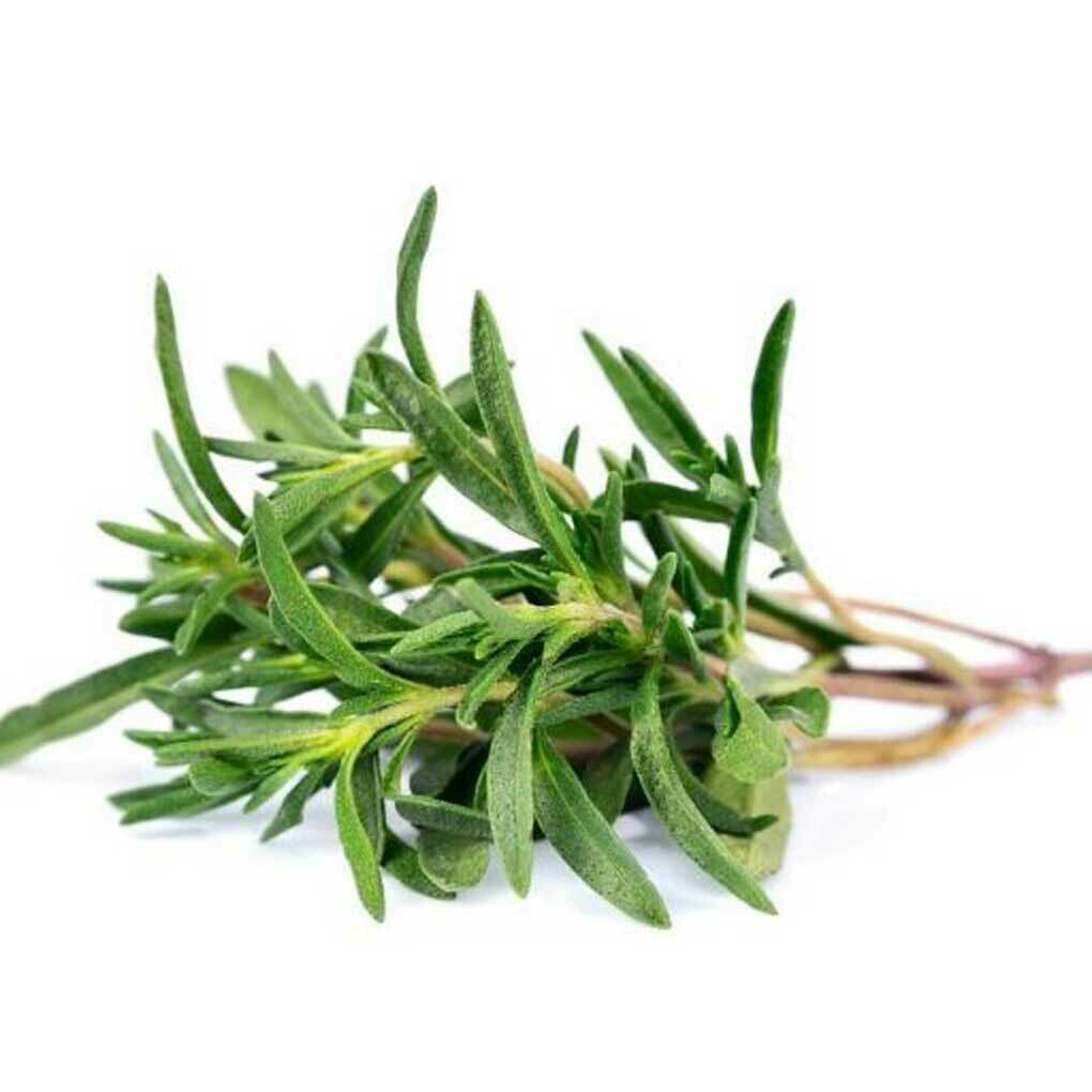 Thyme