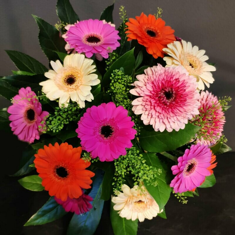 Gerberastrauß | 15 bunte Gerbera