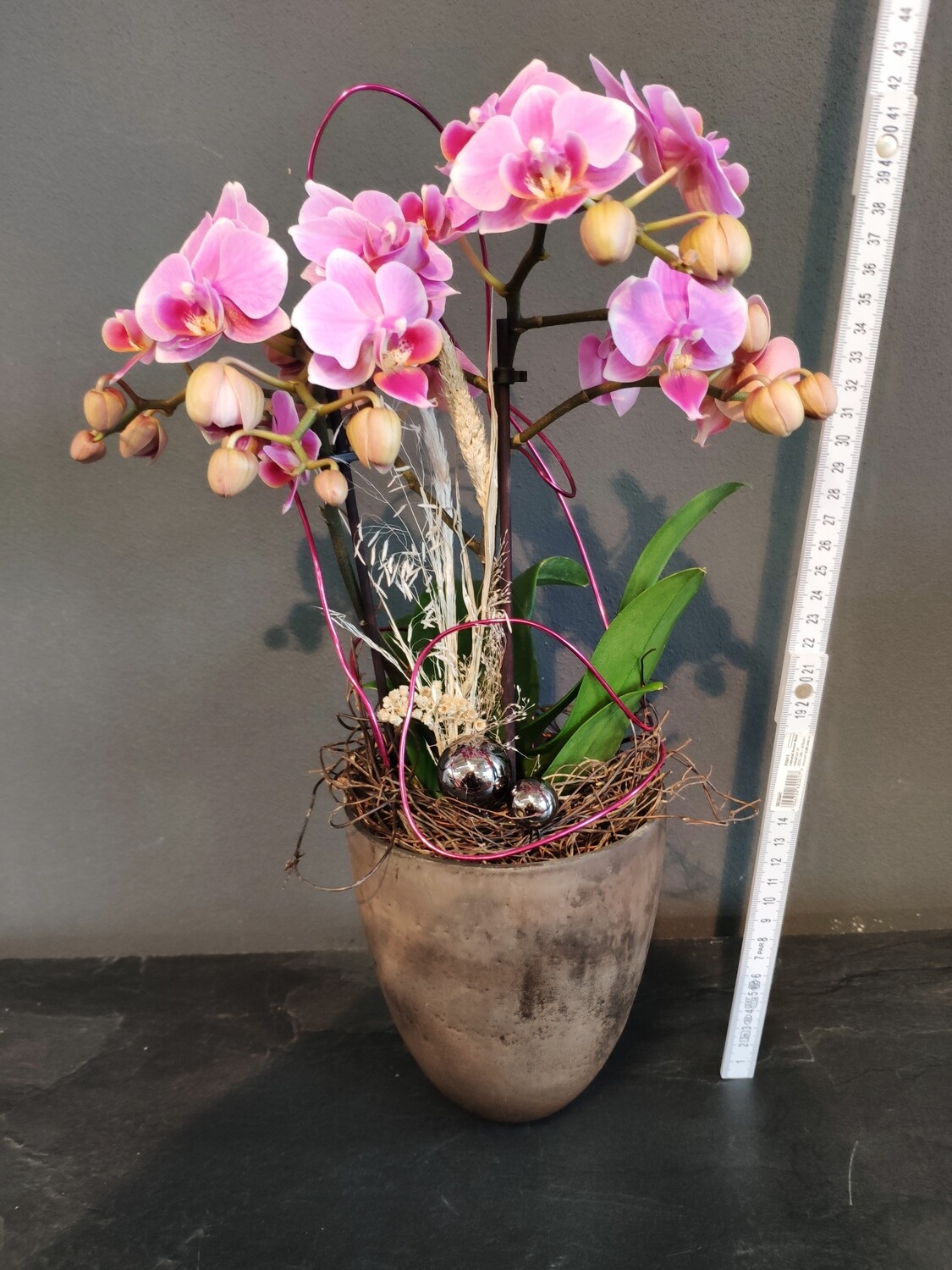 Orchidee dekoriert &quot;kompakt&quot;