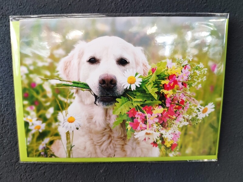 Grußkarte - Hund