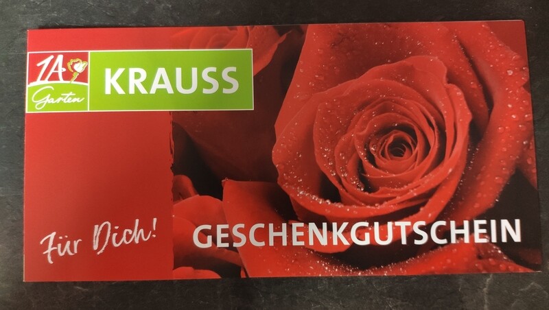 Gutschein Motiv &quot;Rose&quot;