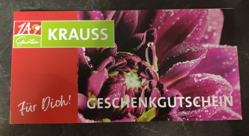 Gutschein Motiv &quot;Dahlie&quot;