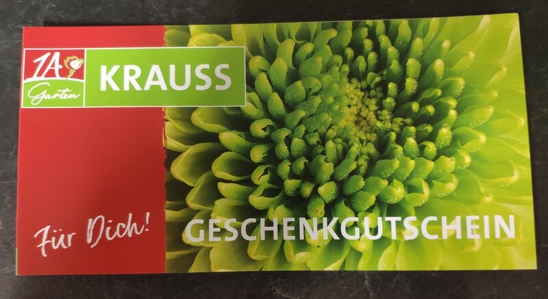 Gutschein Motiv &quot;Chrysantheme&quot;
