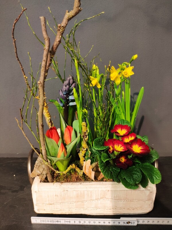 Frühling in der Holzkiste