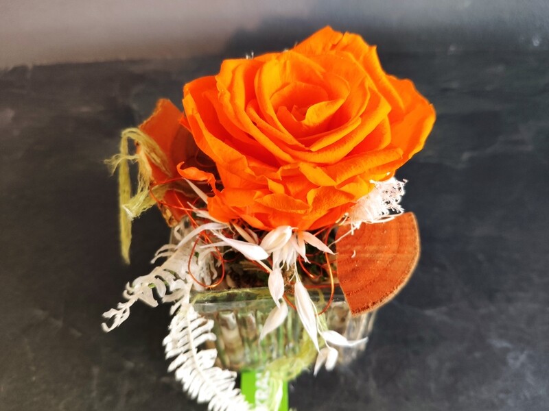 Infinity Rose orange / Deko im Glas