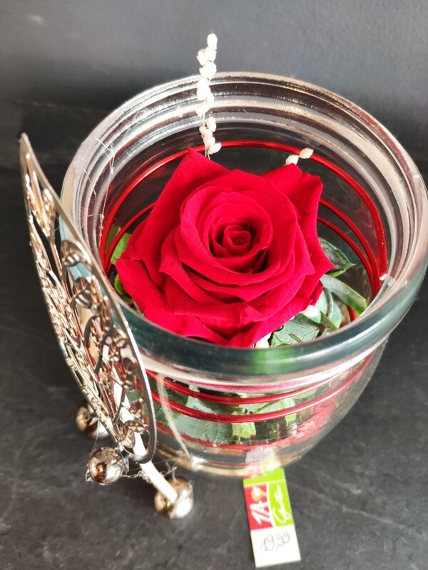 Infinity Rose rot/ Deko im Glas 16cm