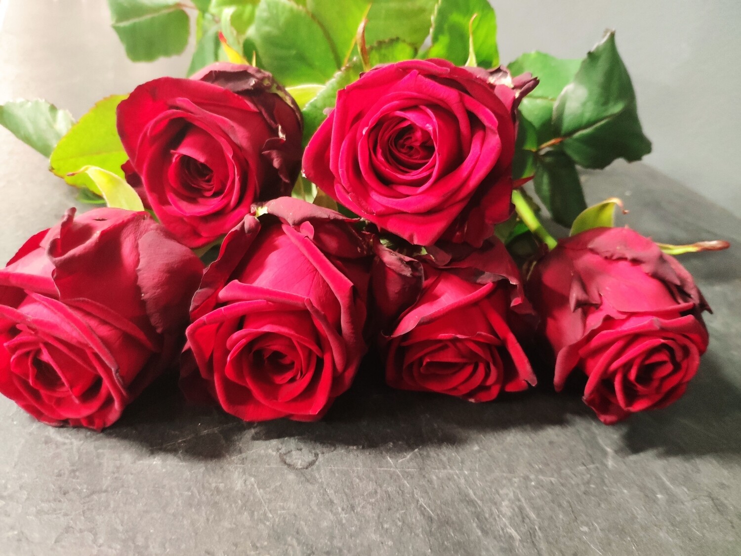 Lange rote Rosen pur; Sie bestimmen die Menge